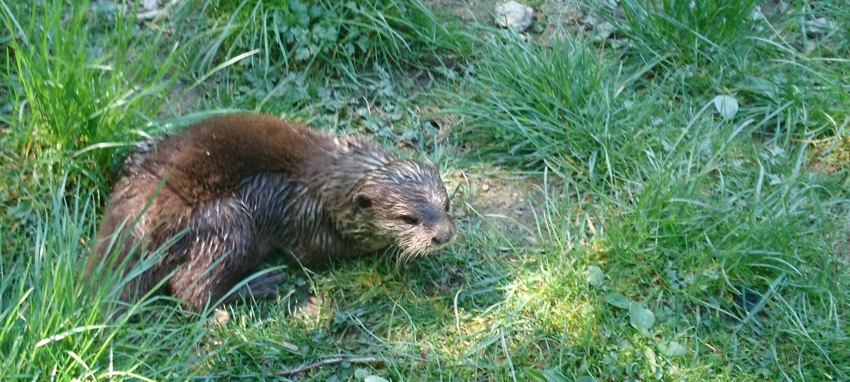 Große Wiedersehensfreude im Affen- und Vogelpark