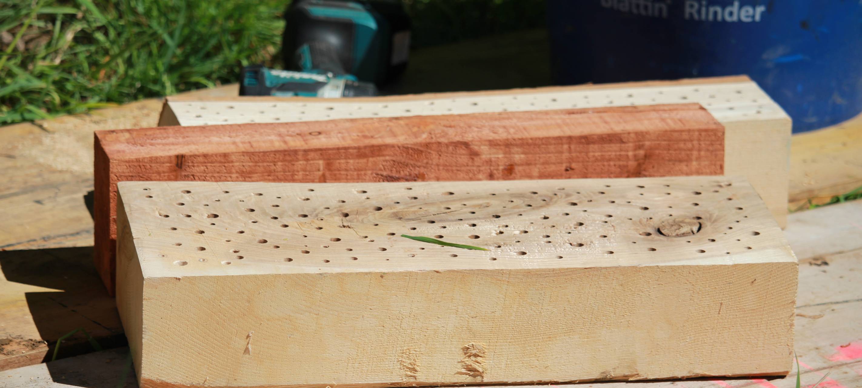 Das Radio Berg Bienenhotel steht!