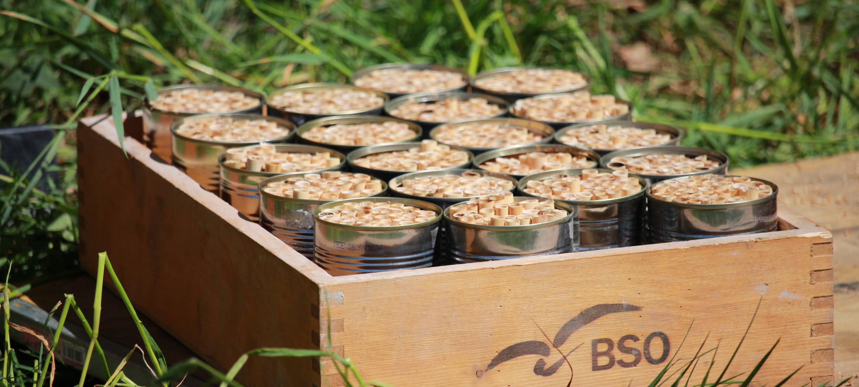 Das Radio Berg Bienenhotel steht!