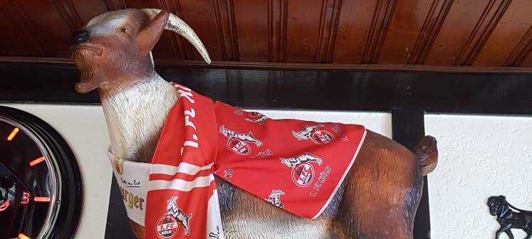 Fans machen Stimmung - von zuhause aus