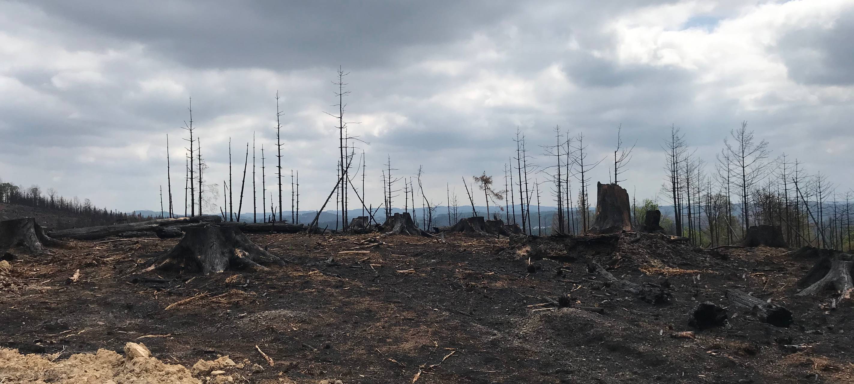 Vier Wochen nach dem Waldbrand in Gummersbach-Strombach