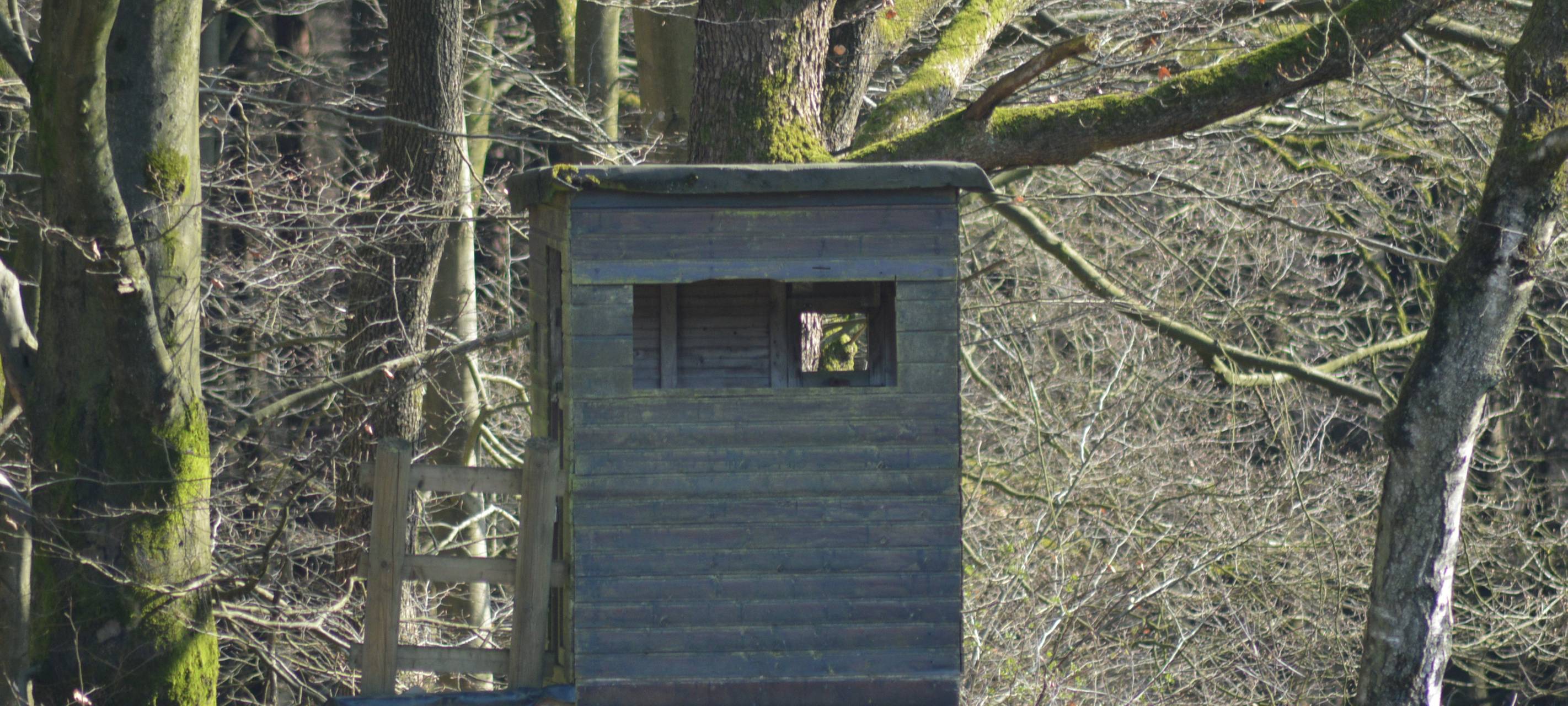 Hochsitz Jäger