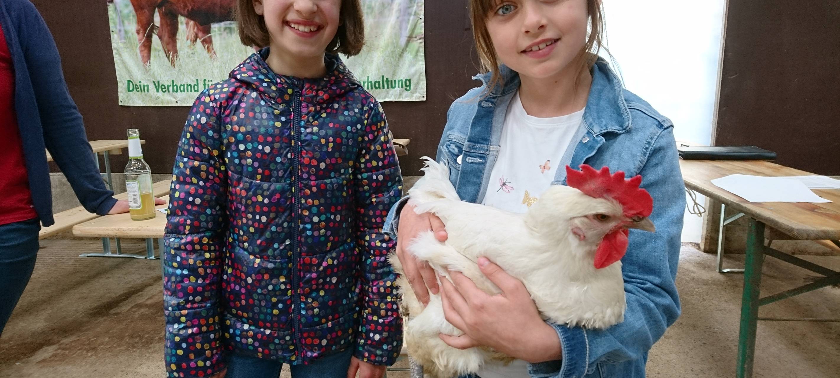 Ferienprogramm auf dem Bauernhof: Kind trifft Tier
