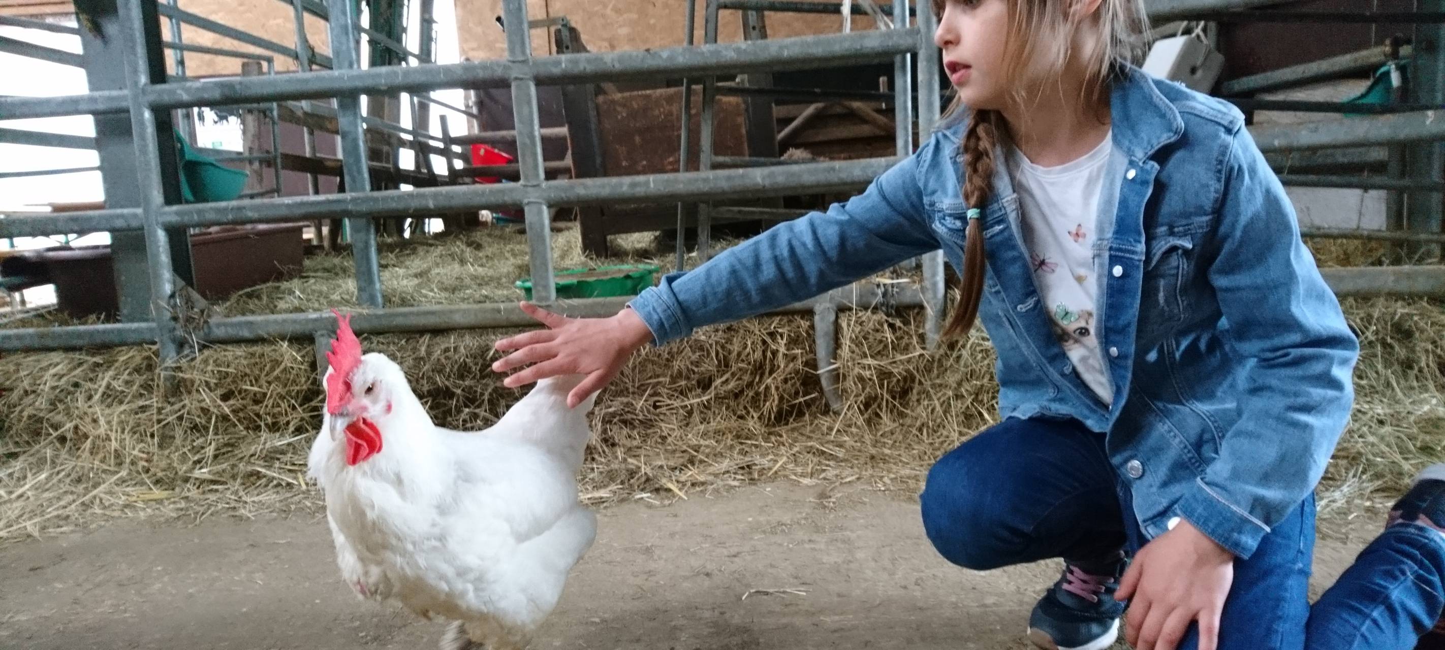 Ferienprogramm auf dem Bauernhof: Kind trifft Tier