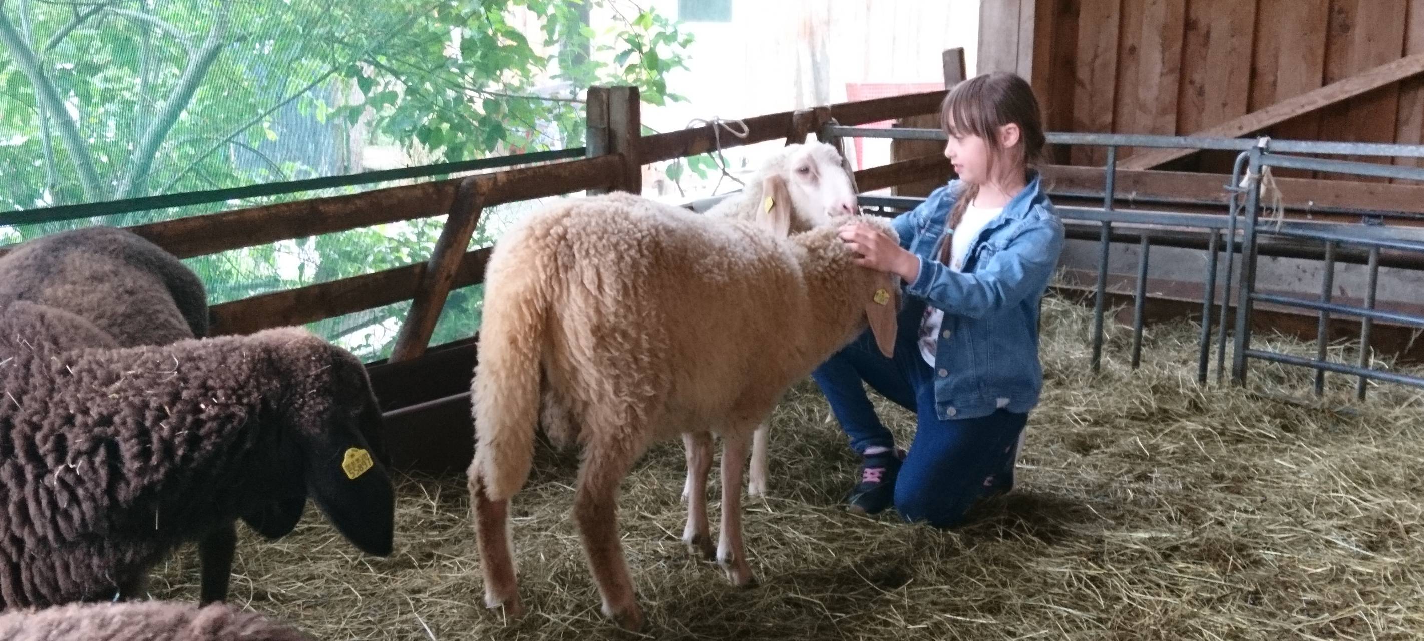 Ferienprogramm auf dem Bauernhof: Kind trifft Tier