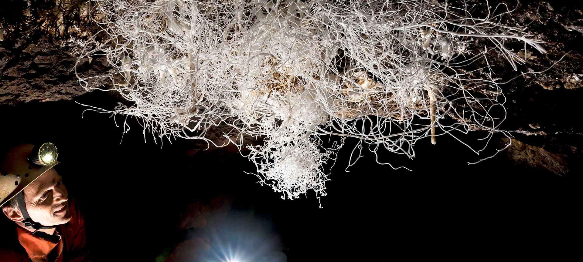 Sensationsfund in Engelskirchener Höhle