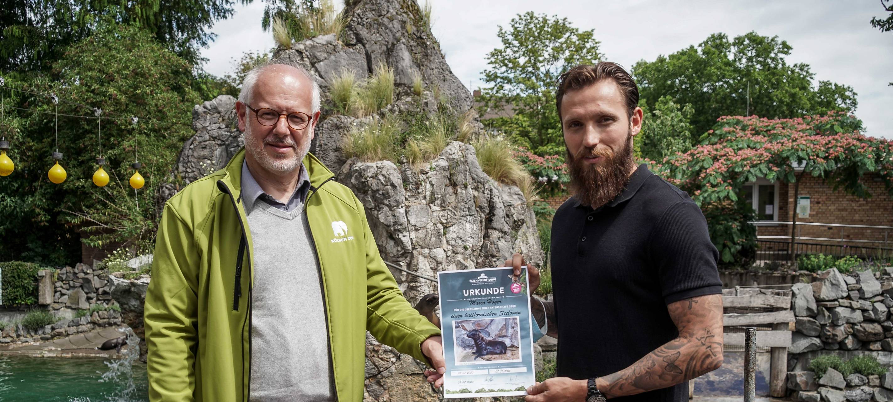 Kalifornisches Seelöwenbaby geboren