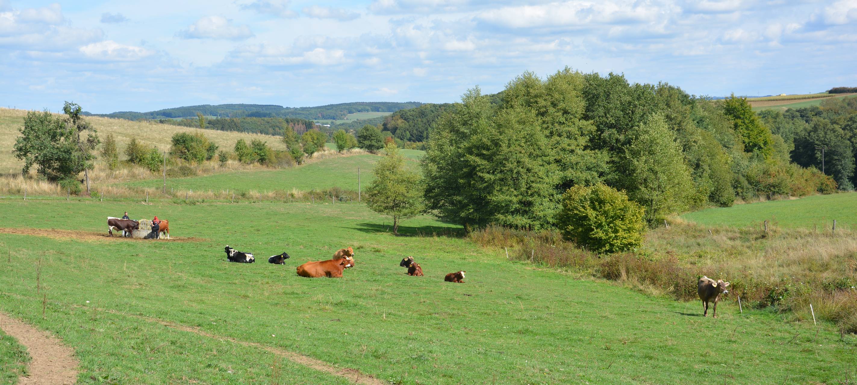 Bergische Landschaft