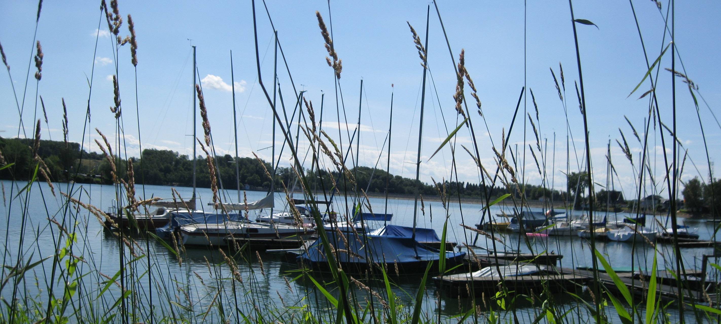 Wupperverband: Nicht so viel Regen im Juni wie gefühlt