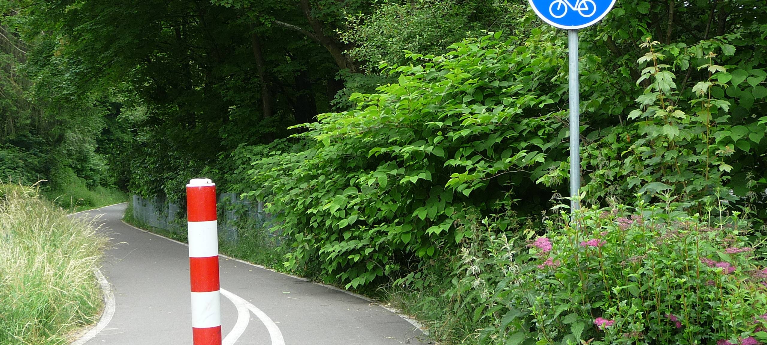 Fünf Schülerinnen aus Kürten-Dürscheid organisieren Fahrrad-Demo