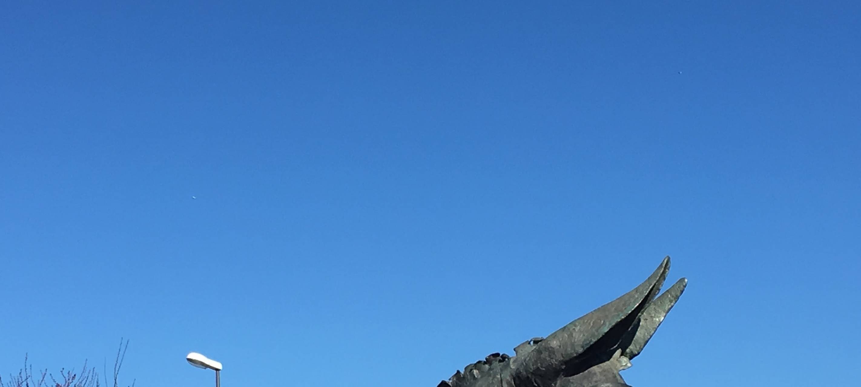 Kürten: Großer Gesprächsbedarf bei Pastoratswiese