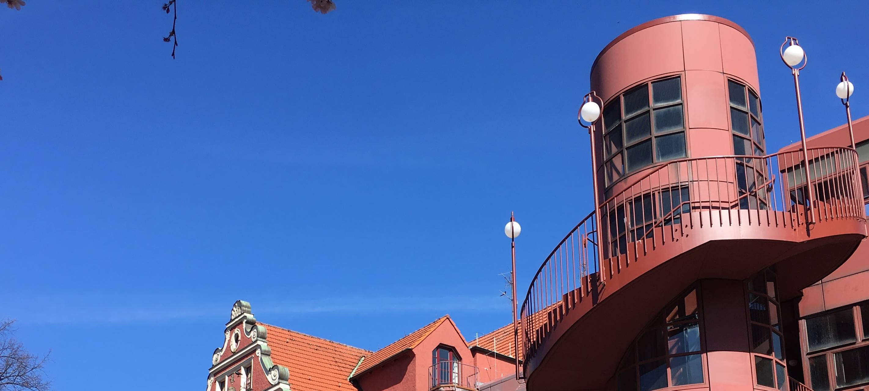 "Vorsicht Frauen, dieser Virus ist ansteckend"