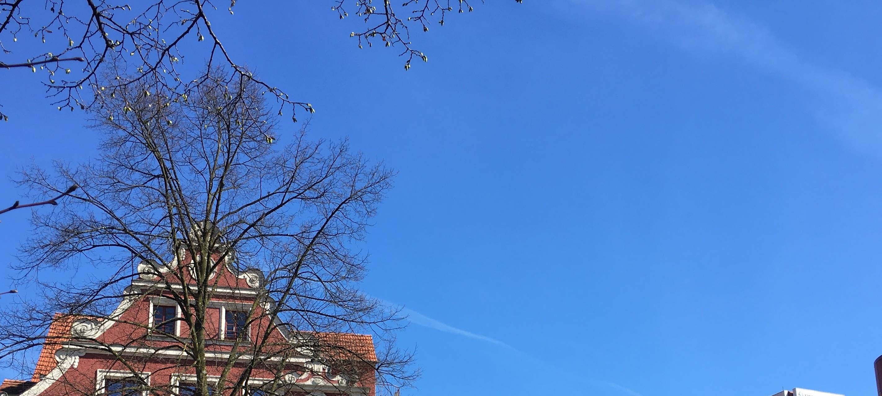 Gladbach: Bergischer Löwe wird nicht an AfD vermietet