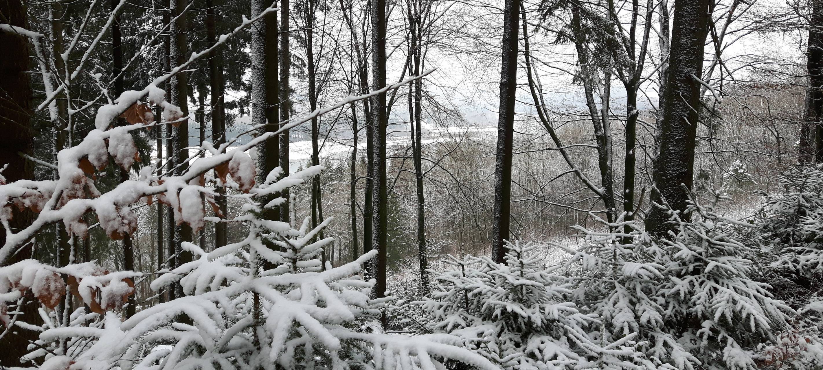 Dhünntalsperre Winter