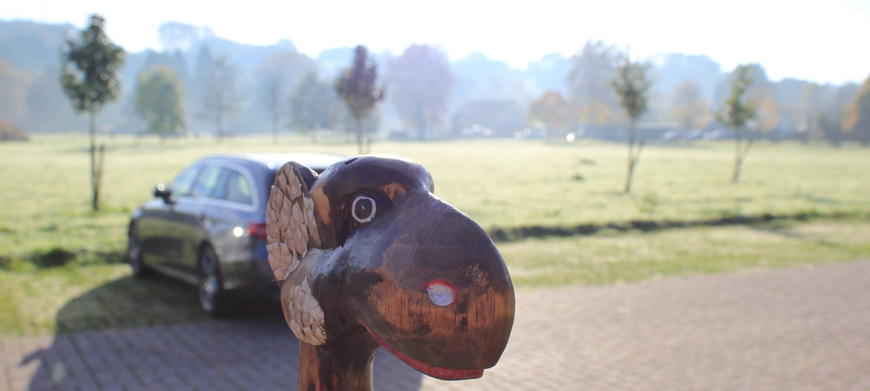 2017 | Transport-Tortour: Wir trampen durchs Bergische