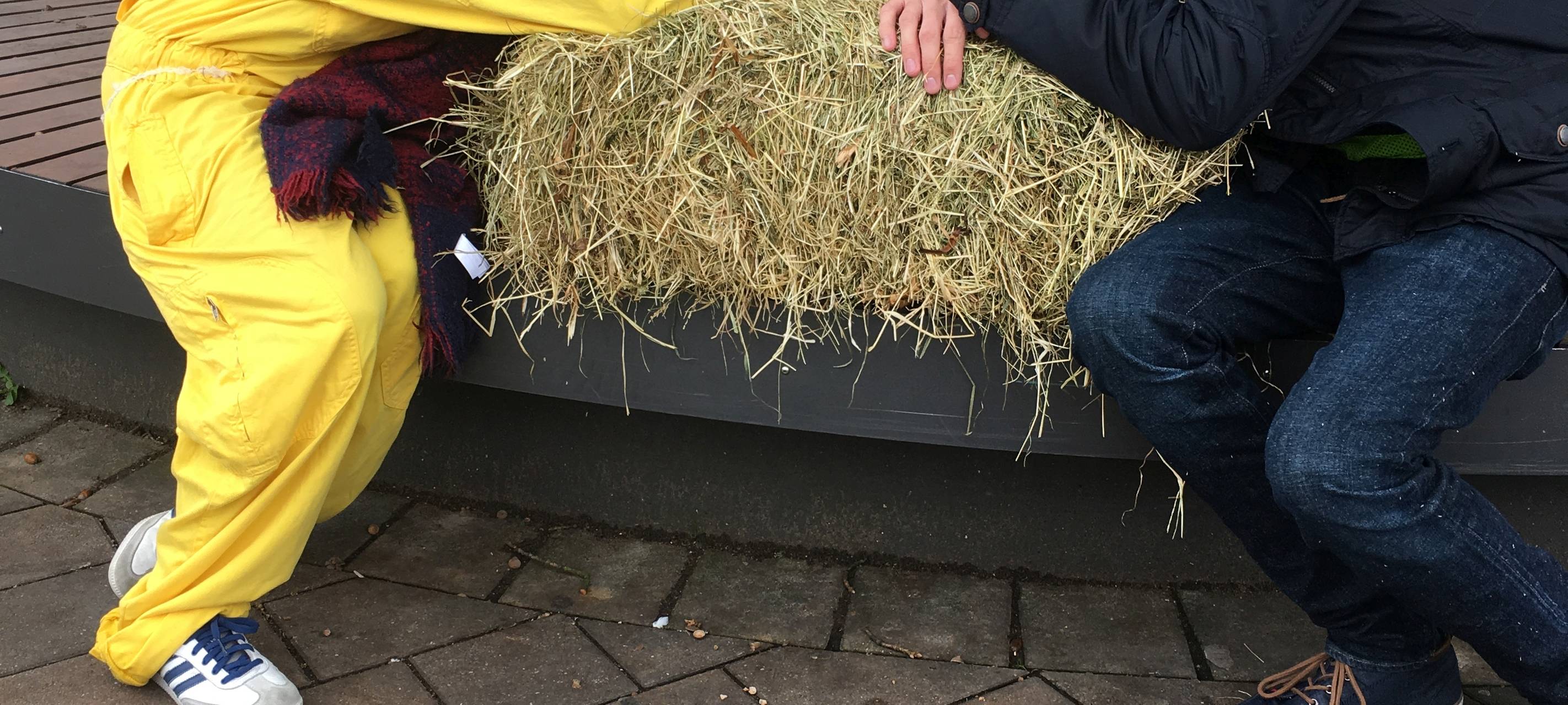 2017 | Transport-Tortour: Wir trampen durchs Bergische