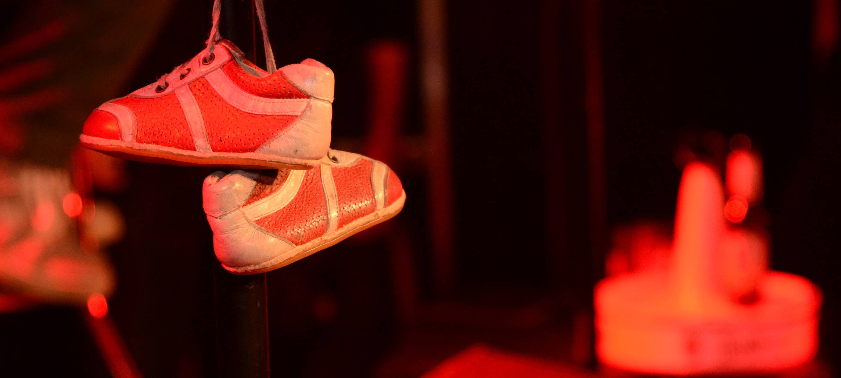 Unsere Konzerthighlights