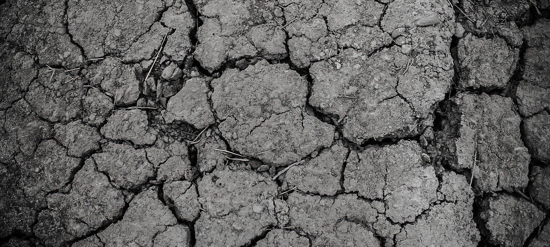Oberberg: Mit "KWAK" gerüstet für den Klimawandel
