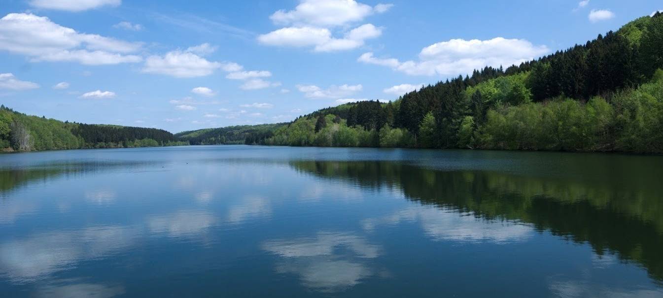 Talsperre See Natur Wasser Sommer