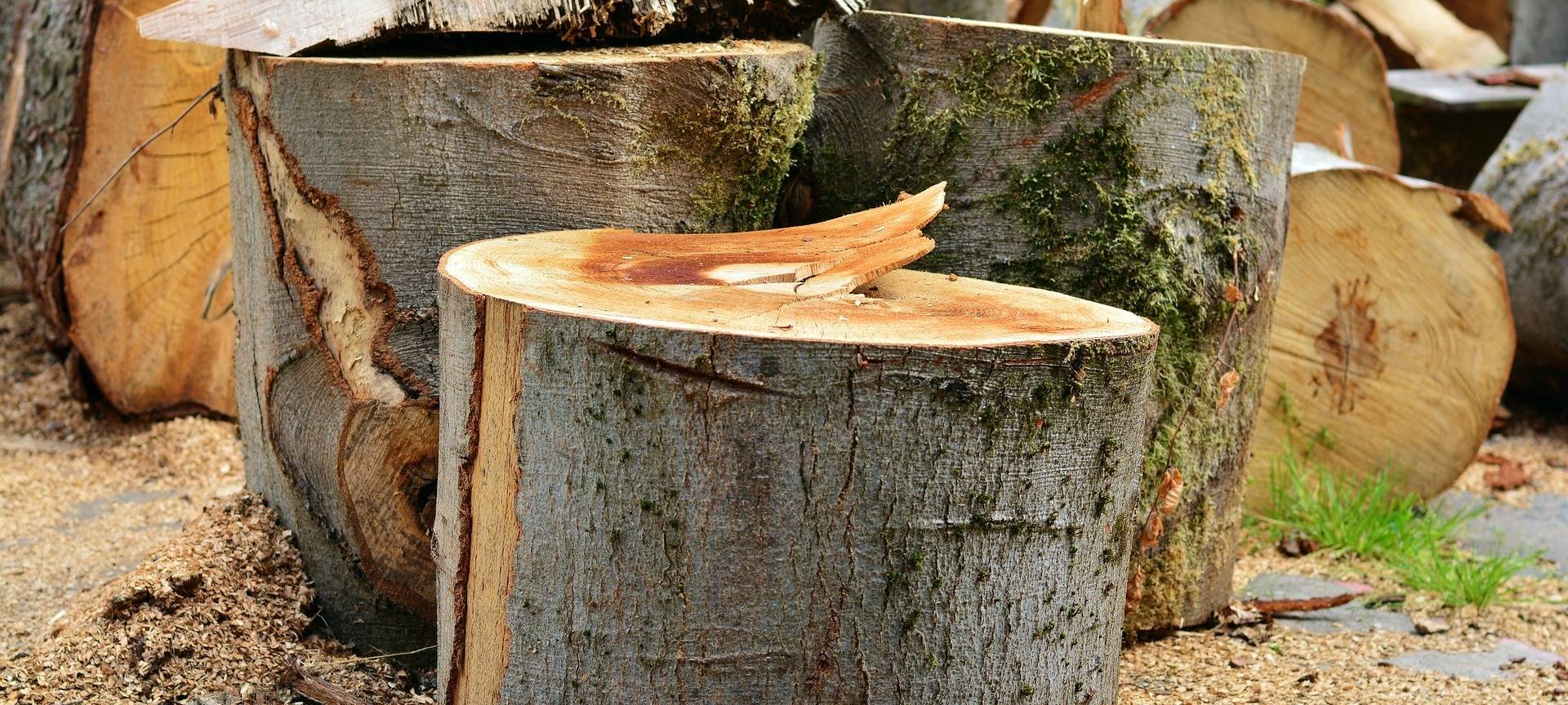Holz Kaminholz Baumstämme Stamm abgeholzt Hölzer Dummy Pixabay hacken