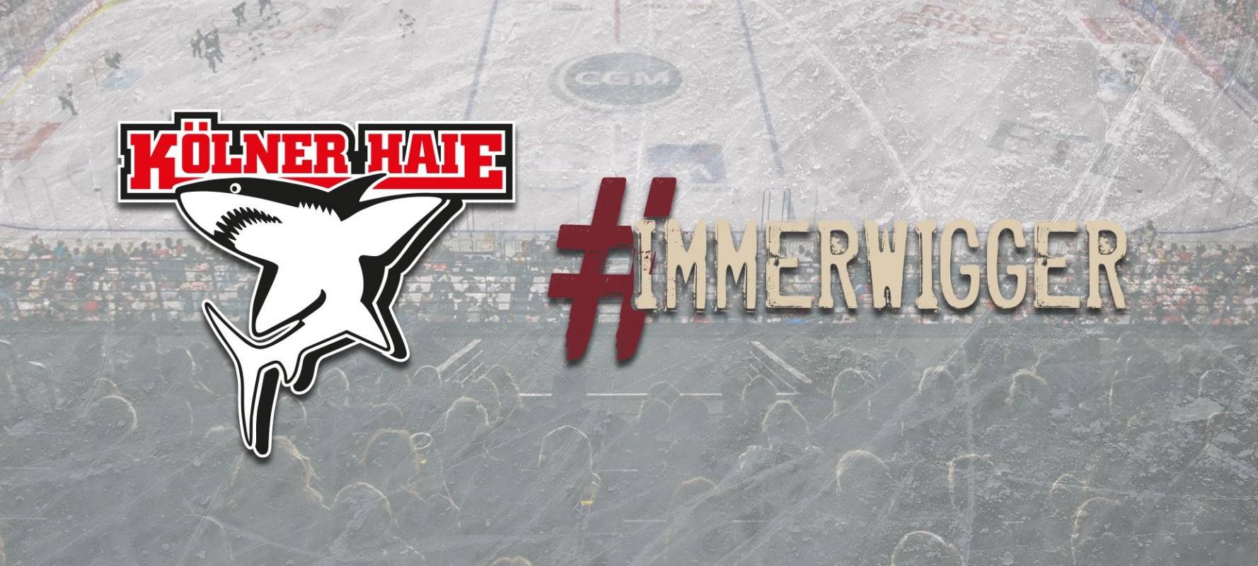 Eishockey: Haie nach elf Jahren wieder im Finale