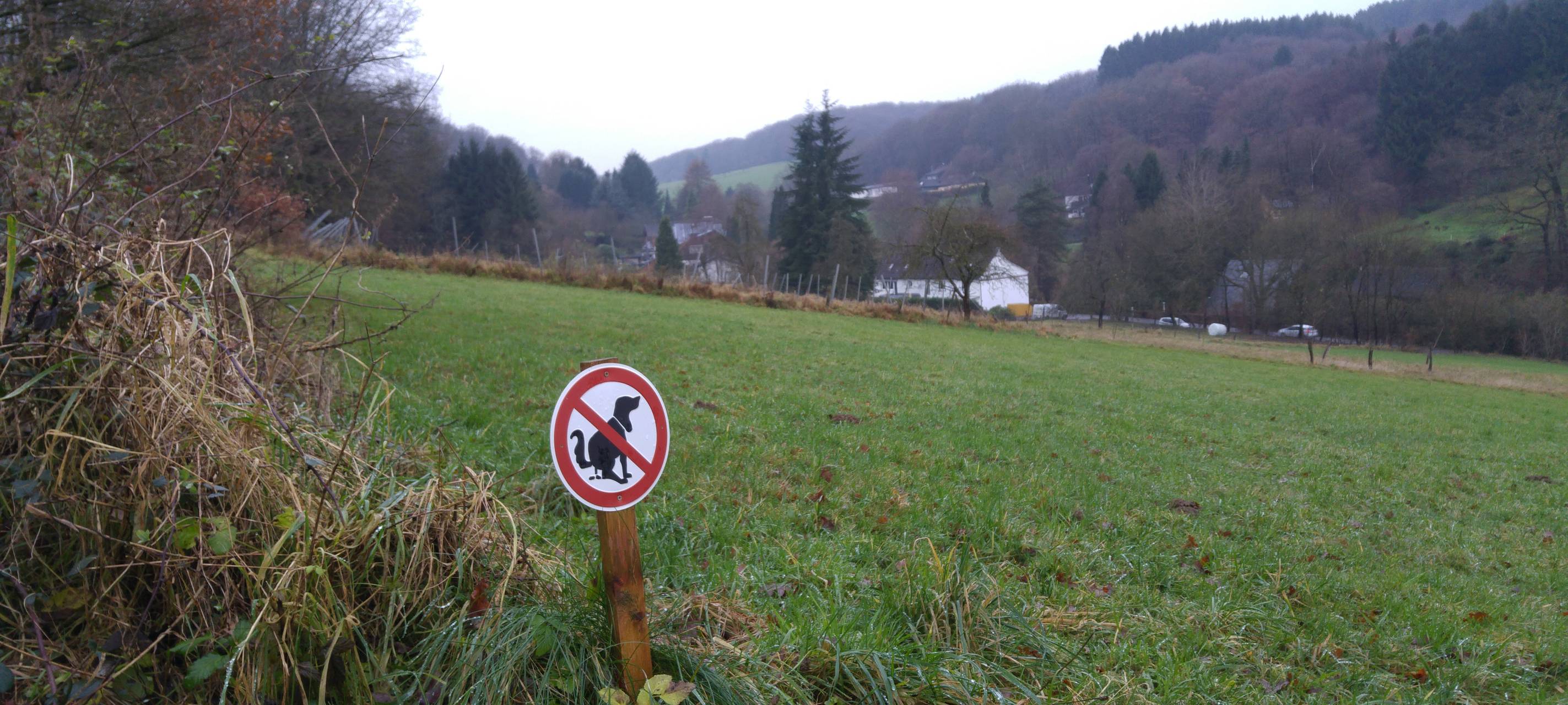 Polizei warnt vor gefährlichem Hund in Leichlingen