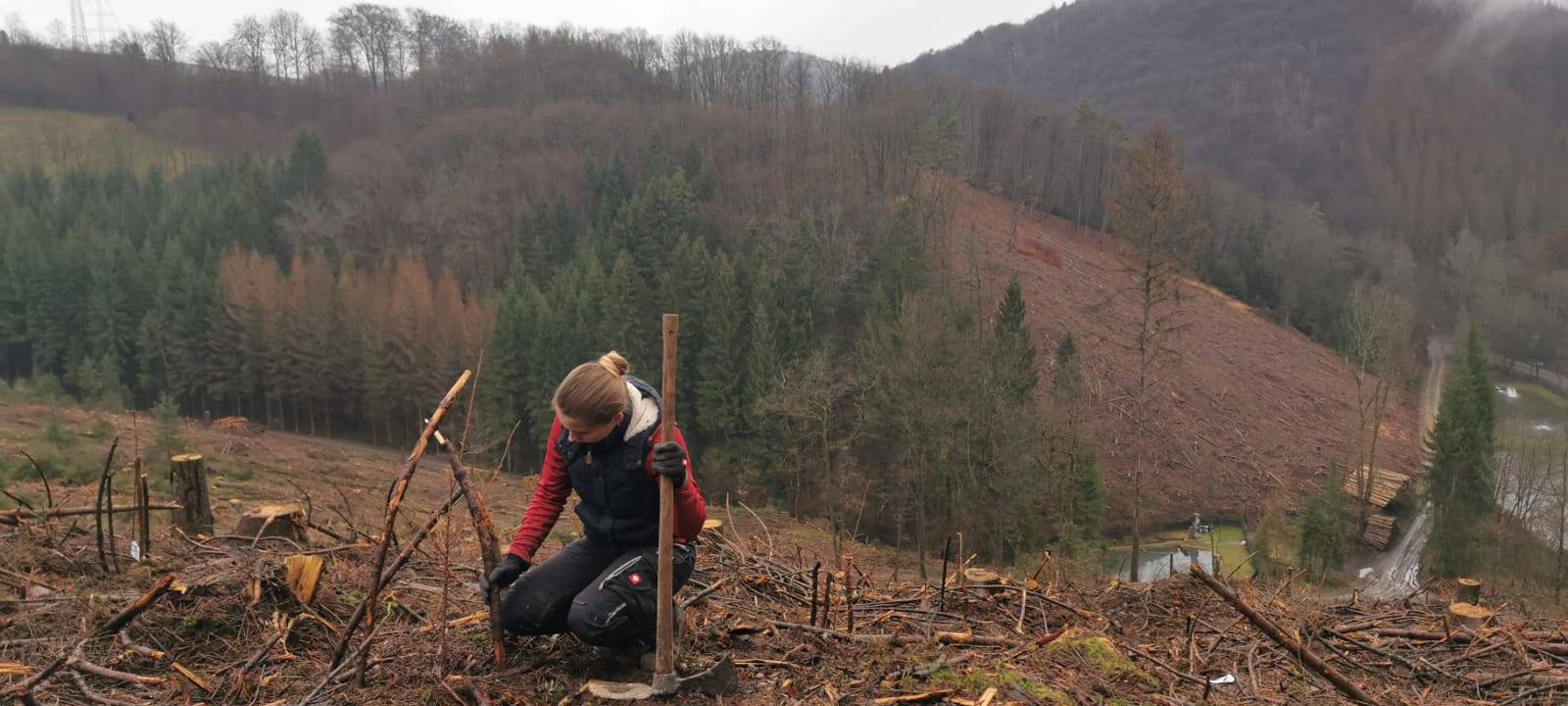 Anna aus Lindlar forstet den Wald auf