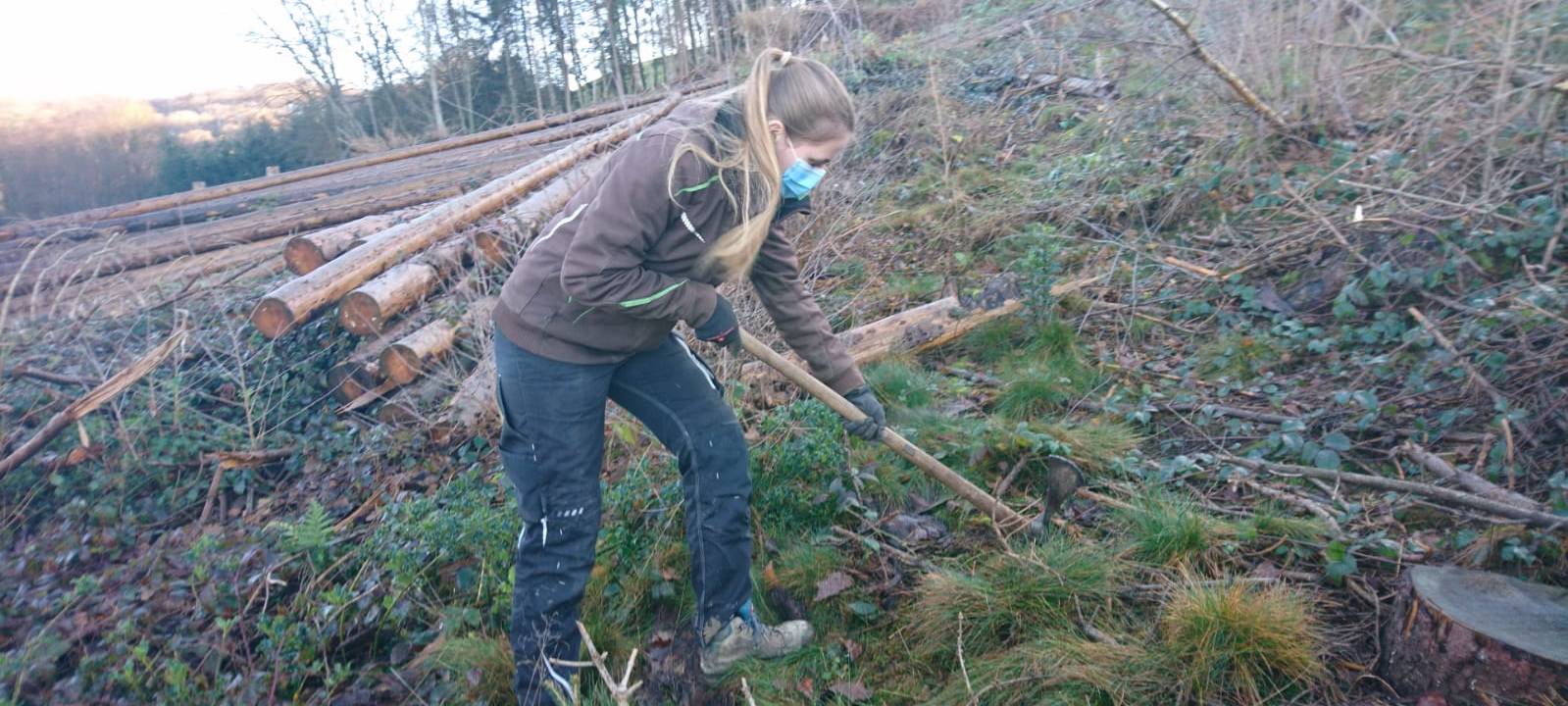 Anna aus Lindlar forstet den Wald auf