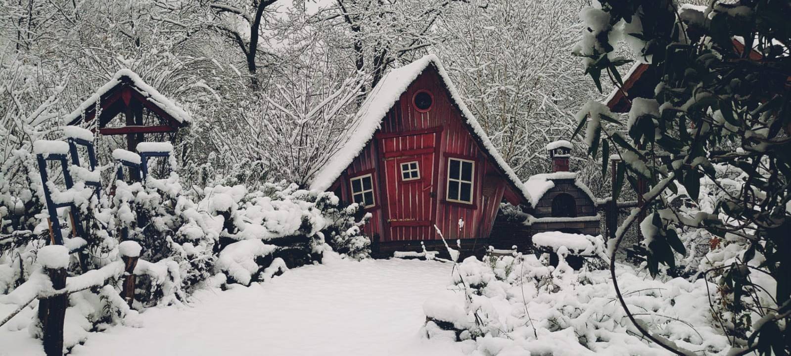 Tiere und die Kälte