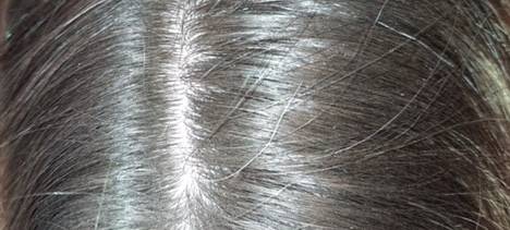 Haarmageddon im Bergischen: Die Jagd nach dem Friseurtermin