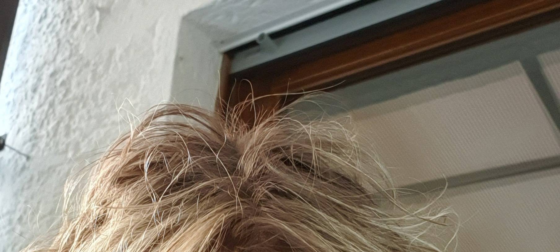 Haarmageddon im Bergischen: Die Jagd nach dem Friseurtermin