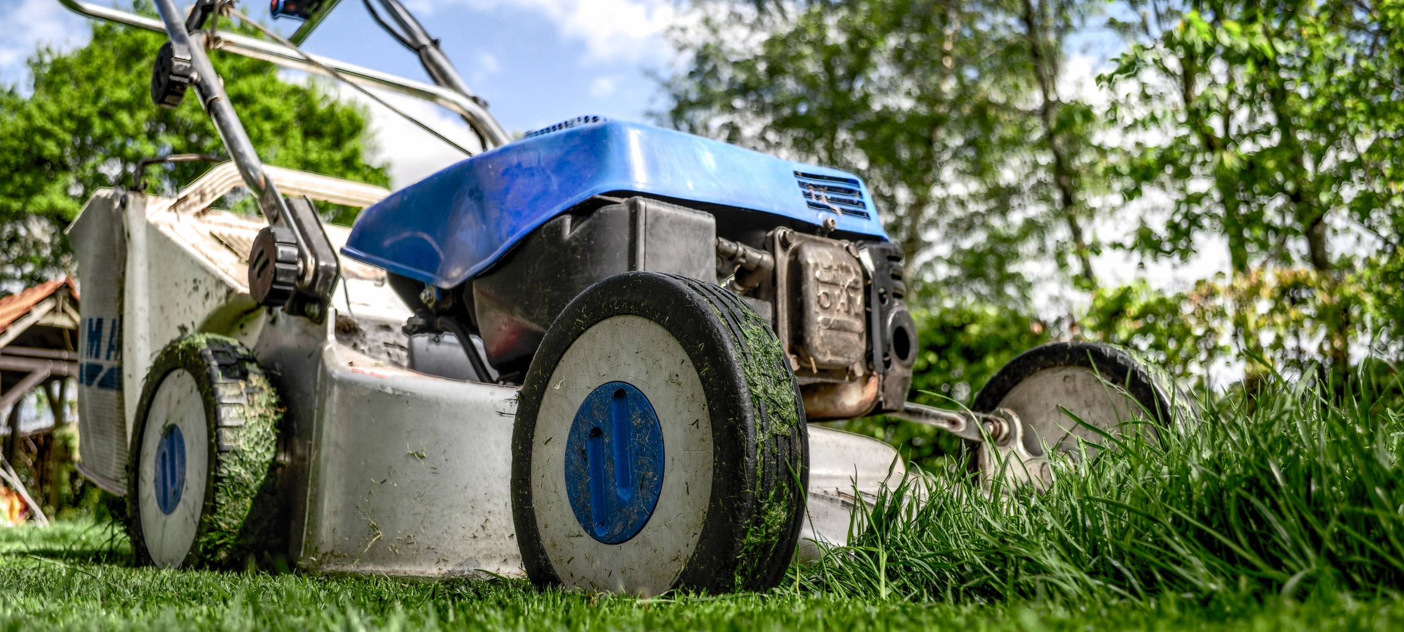 Rasenmäher, Freischneider, Laubsauger: Wie wir das Leben im Garten killen