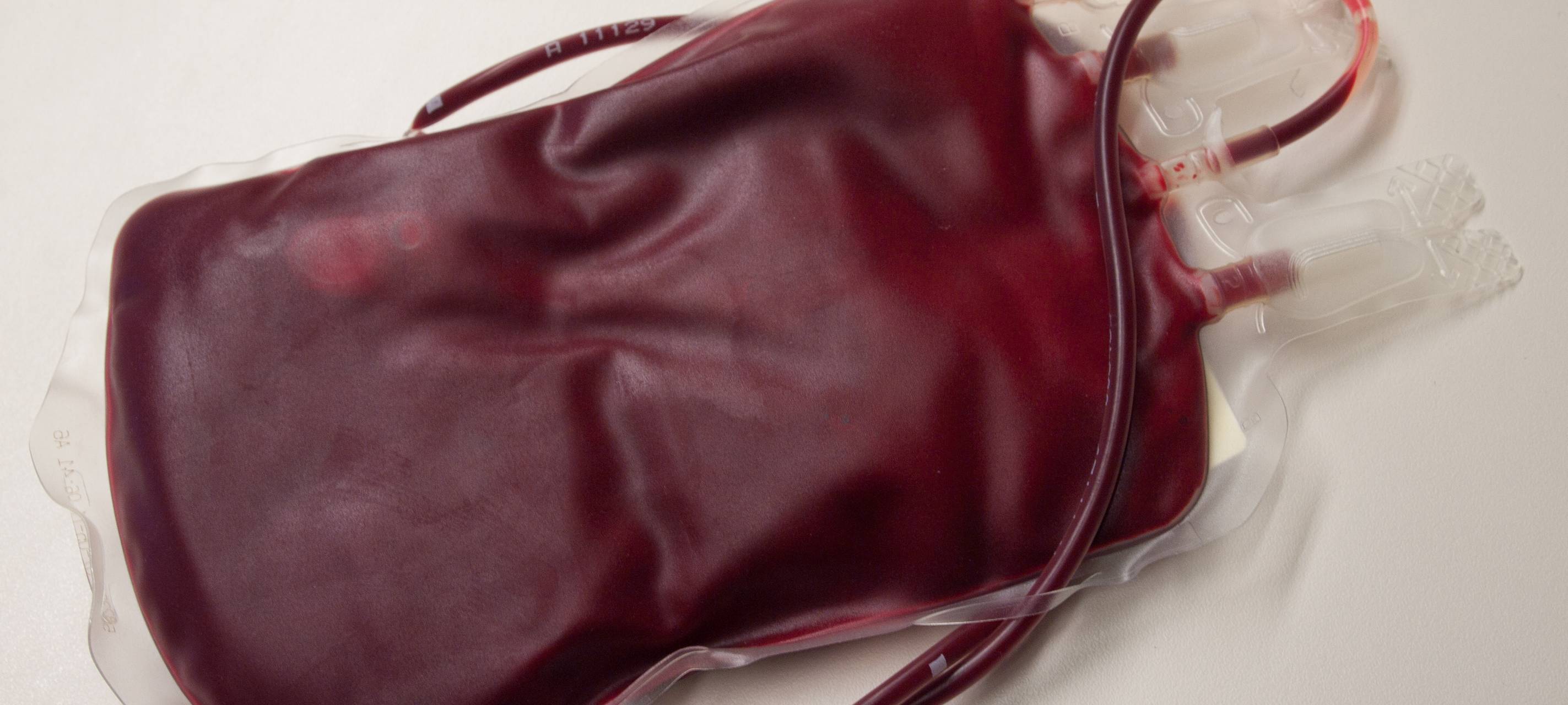 DRK wirbt um Blutspenden im Sommer