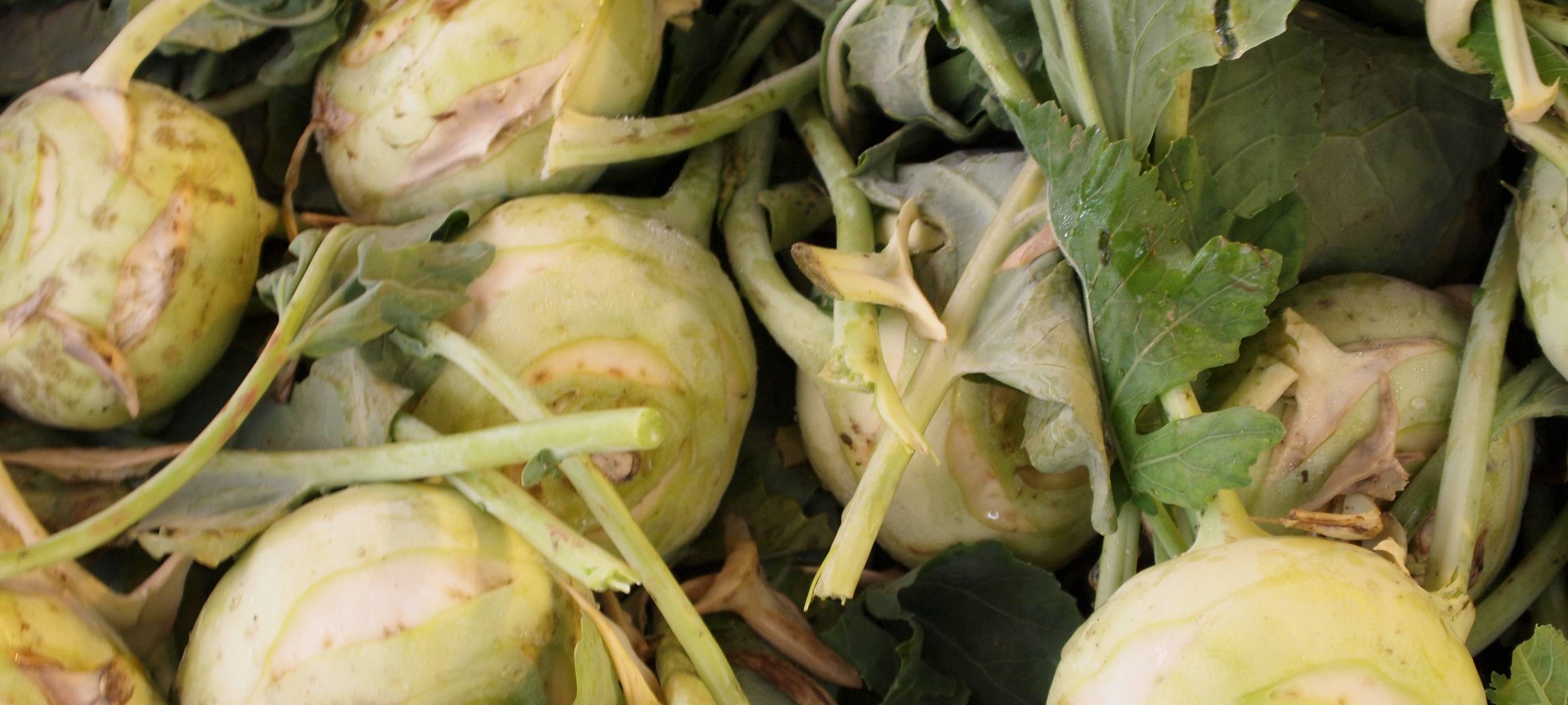 Melanie und der Kohlrabi-Traum