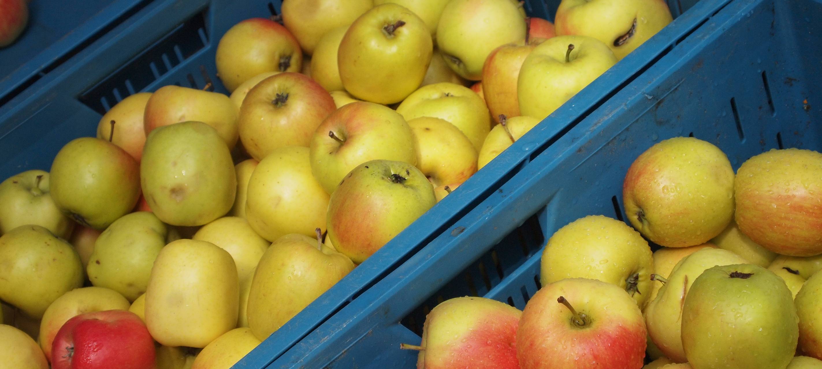 Burscheid: Zwischenfall bei Tenneco