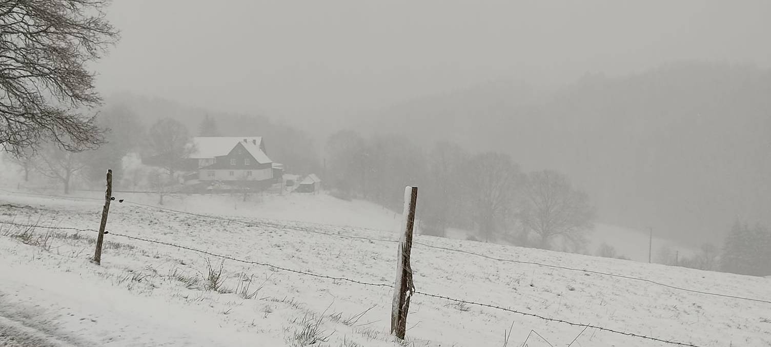 Winterwetter: Weiter Bus-Ausfälle aber nur wenige Unfälle