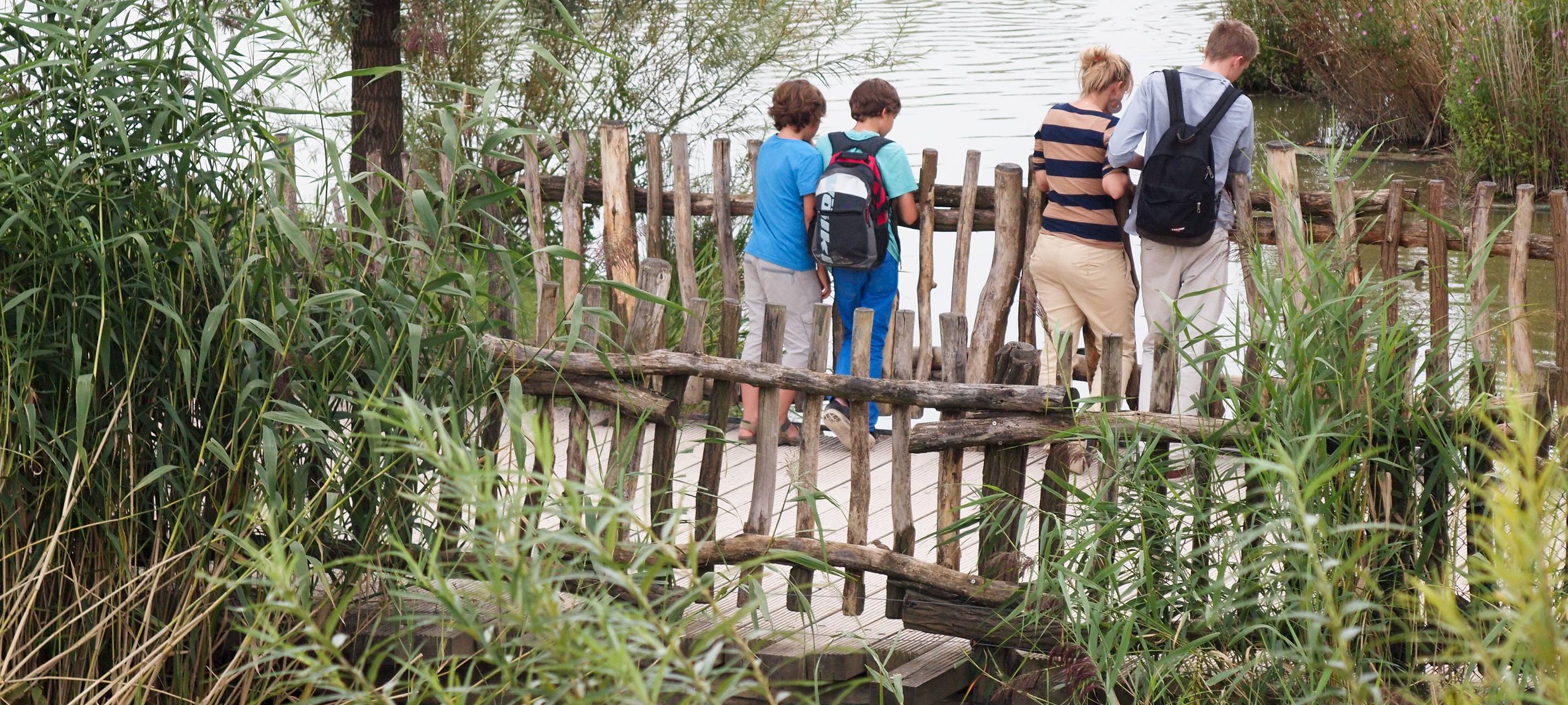 ´Barfußschuhe - Für wen sie sinnvoll sind