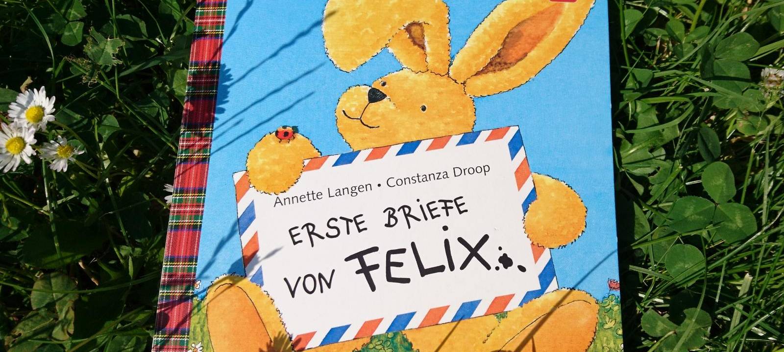 Hase Felix Kinderbuch