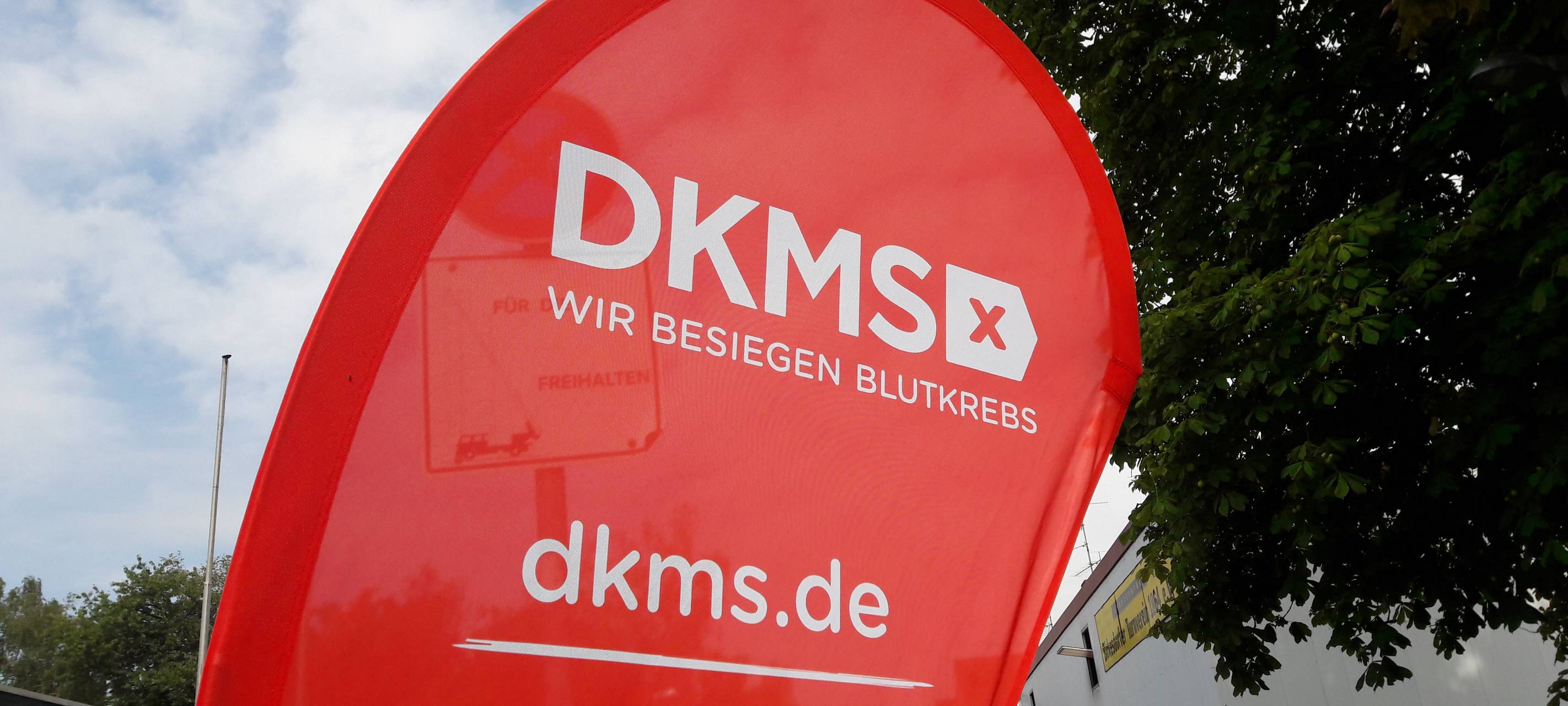 Zwei junge Menschen brauchen Stammzellenspender