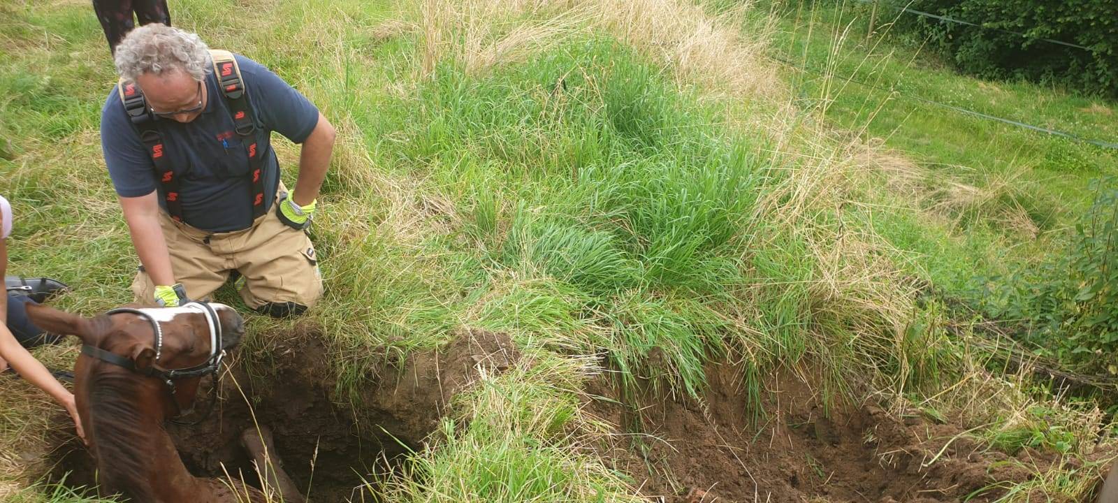 Gefahren in der Natur nach Flut: Pferd und Reiterin eingebrochen