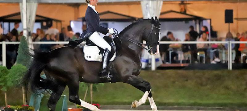 Reitsport: "Bergisch Classics" auf Top-Niveau
