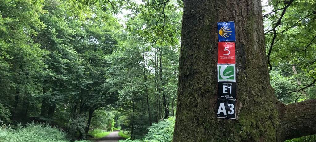 Wermelskirchen: Eifgen-Wanderweg nach Dauerregen gesperrt