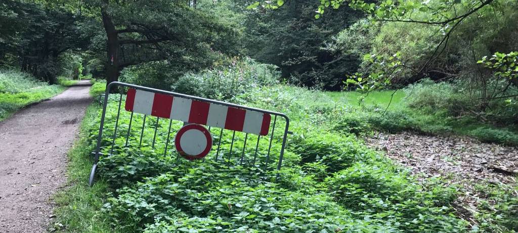 Bergische Wanderwege nach dem Hochwasser