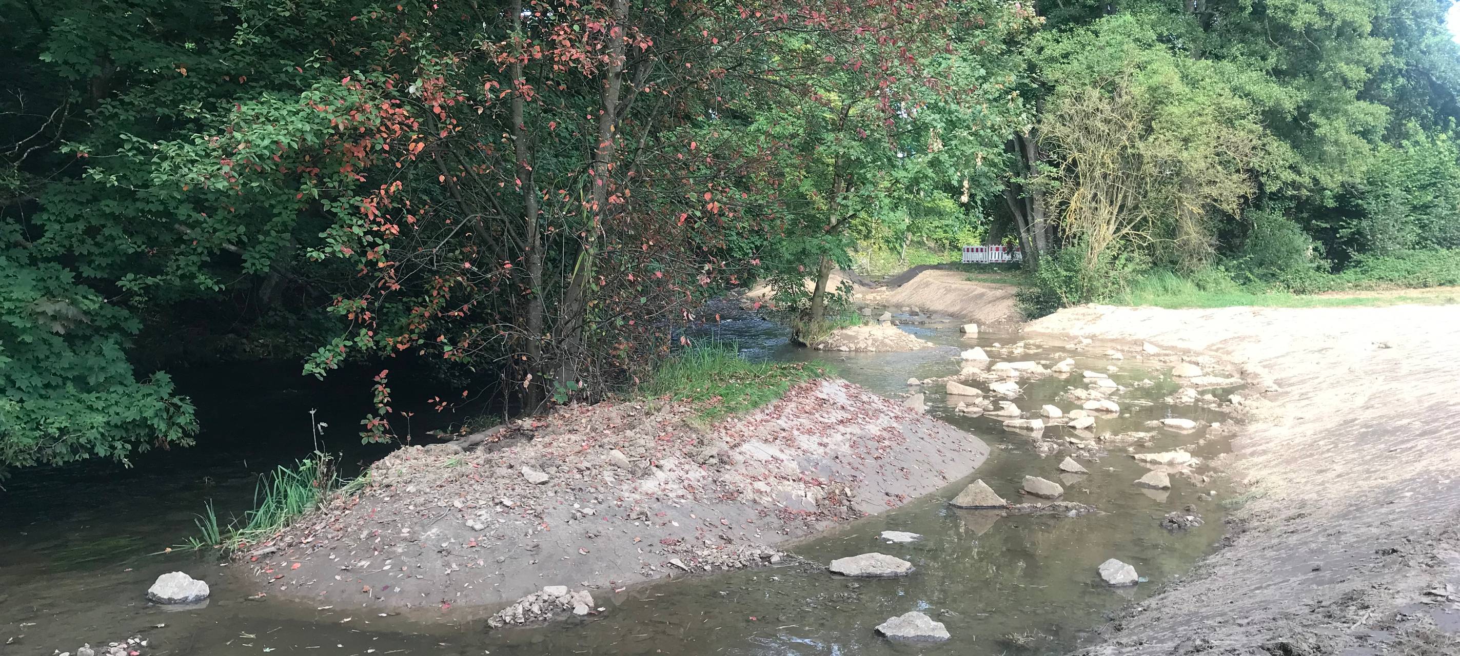 Wupperverband: Bisher kein hitzebedingtes Fisch-Sterben