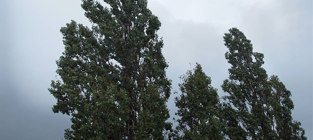 Sturm sorgt nur für kleinere Einsätze im Bergischen