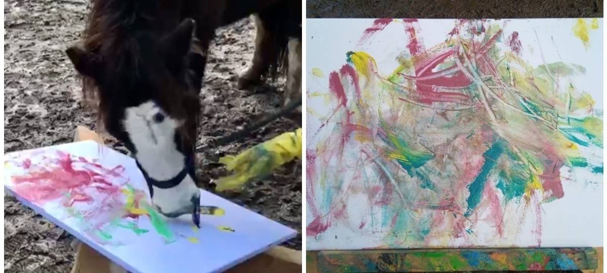 Bergisches Land: Pony Jean-Luc malt farbenfrohe Kunstwerke