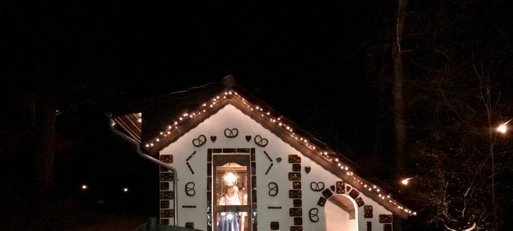 Märchenwald in Odenthal-Altenberg leuchtet im Dunkeln