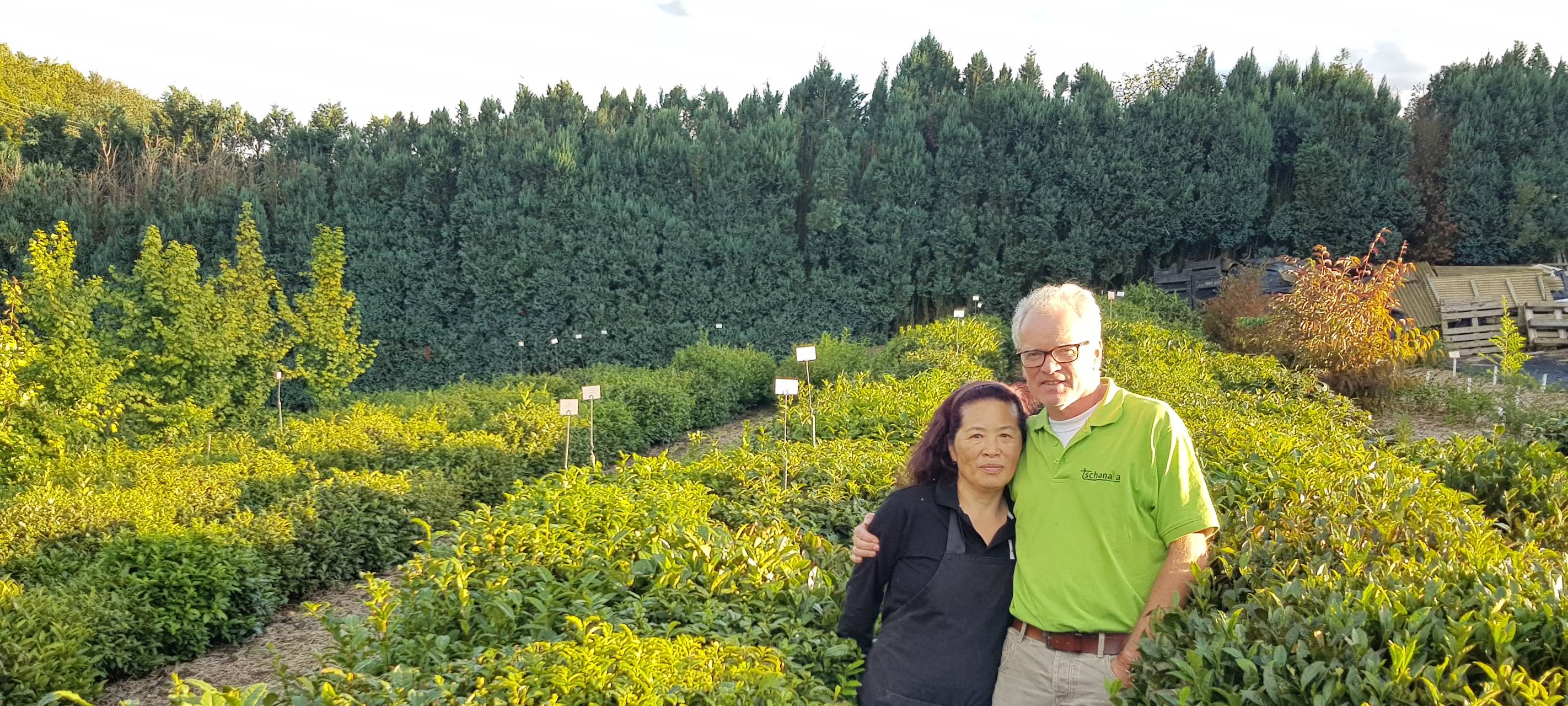 Asiatischer Tee aus dem Bergischen