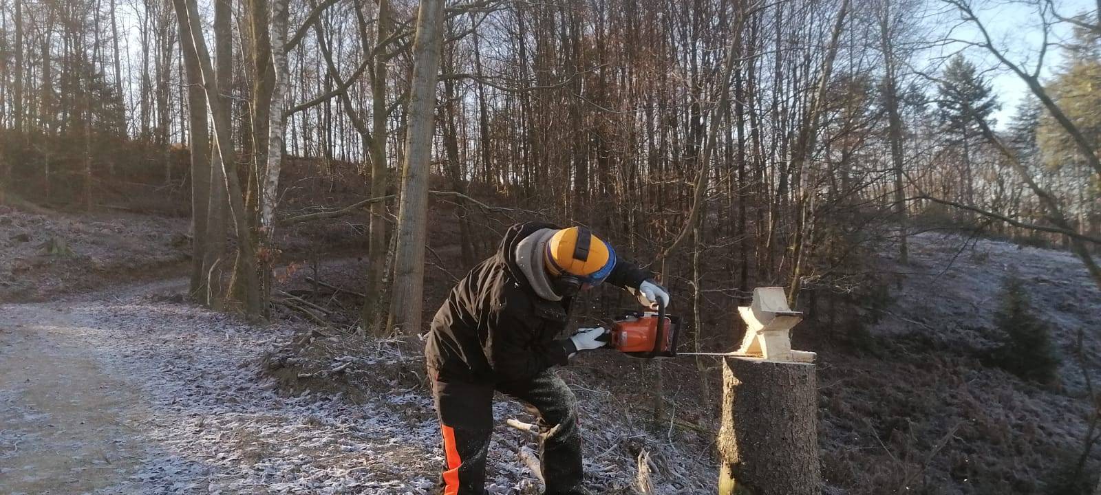 Sternenwald in Lohmar-Neuhonrath