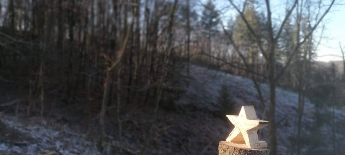 Sternenwald in Lohmar-Neuhonrath
